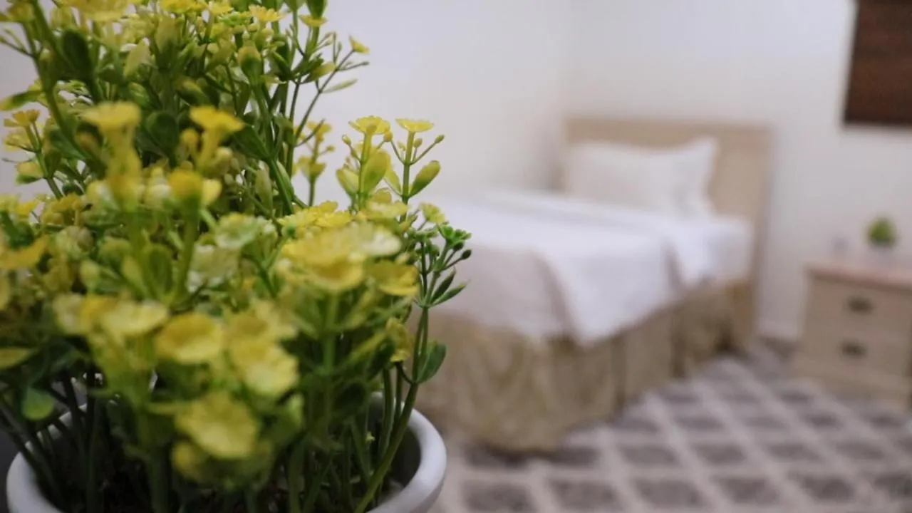Al Farhan Hotel Suites Rijád 2*,